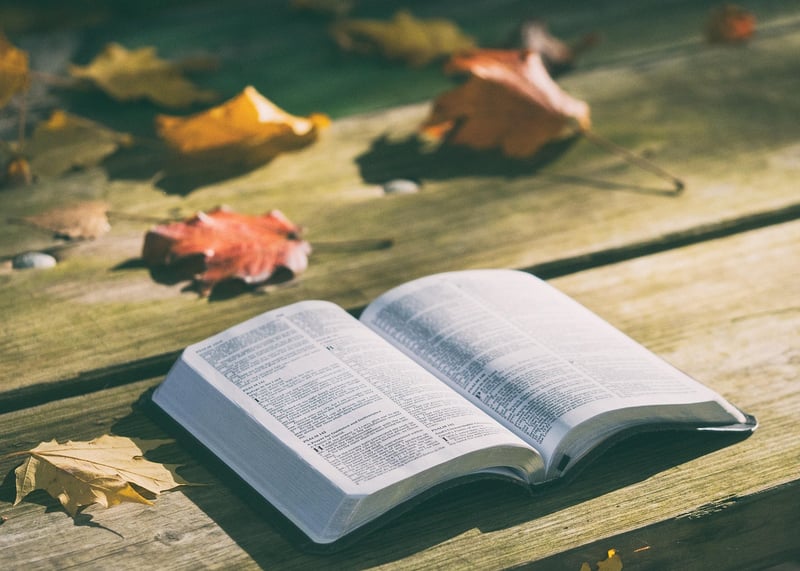 Time Travel Books